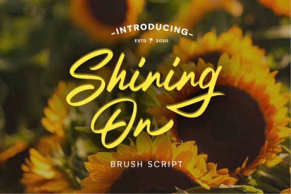 Shining on Font Poster 1