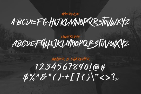 Shockwave Font Poster 10