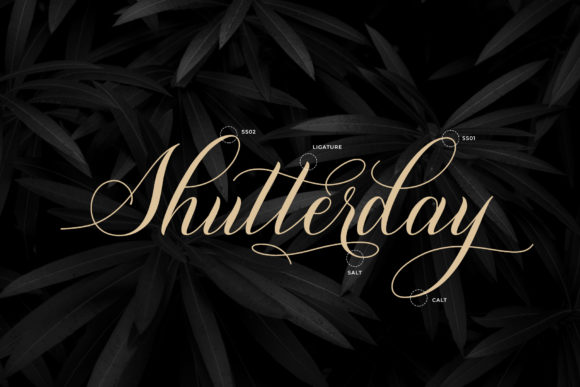 Shutterday Font Poster 7