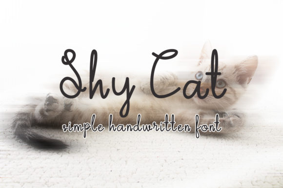 Shy Cat Font Poster 1