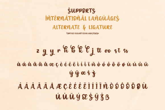 Shyness Font Poster 10