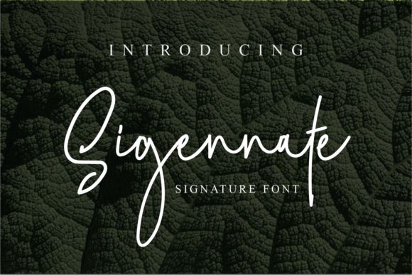 Sigennate Font Poster 1