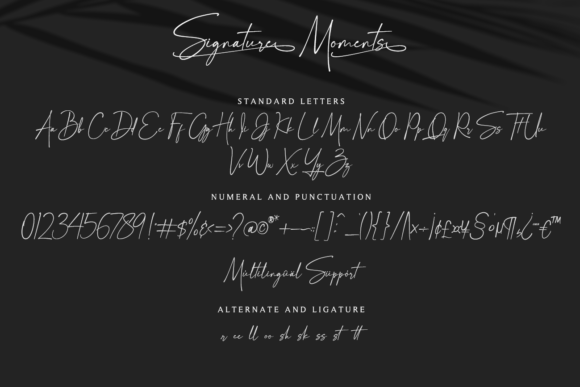 Signature Moments Font Poster 13