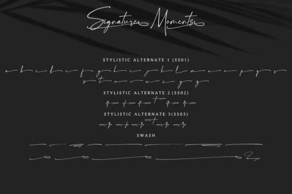 Signature Moments Font Poster 14