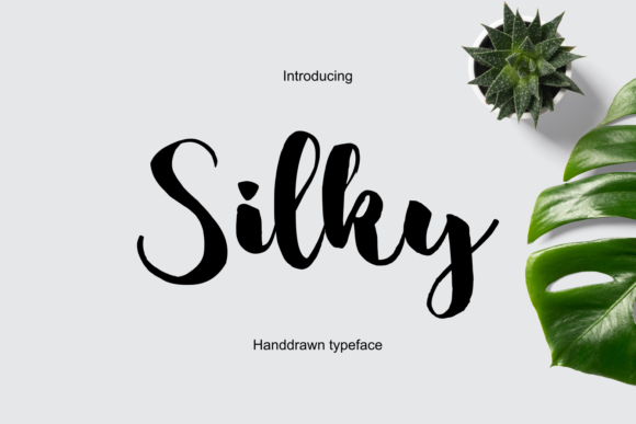 Silky Font Poster 1