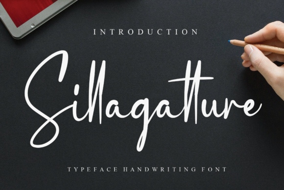 Sillagatture Font Poster 1