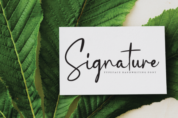 Sillagatture Font Poster 4