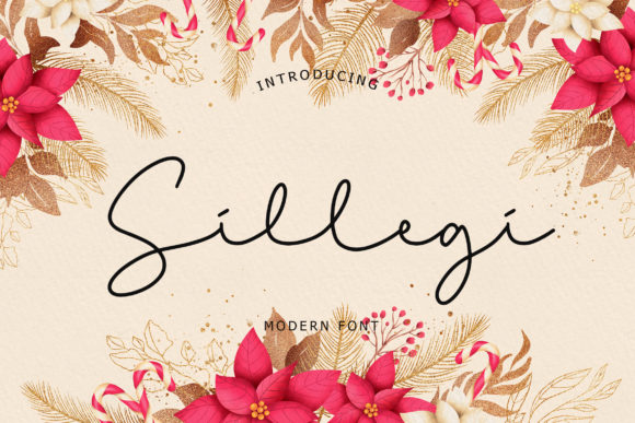 Sillegi Font