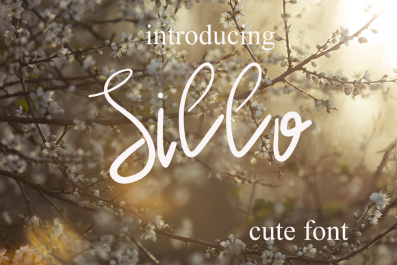 Sillo Font Poster 1