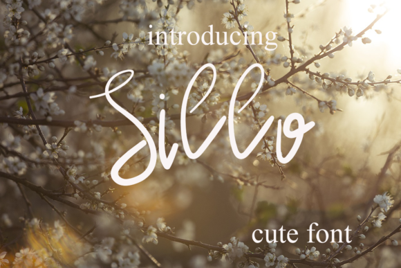 Sillo Font