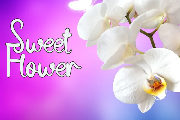 Simple Butterfly Font Poster 2