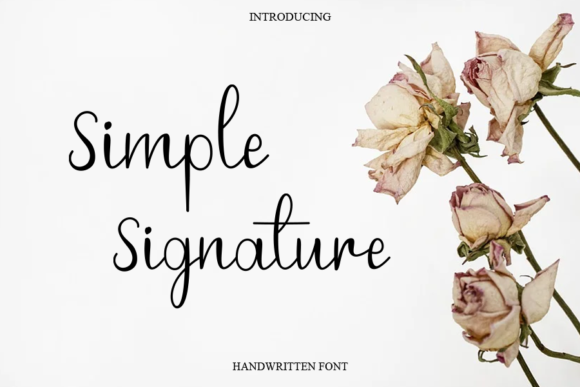 Simple Signature Font