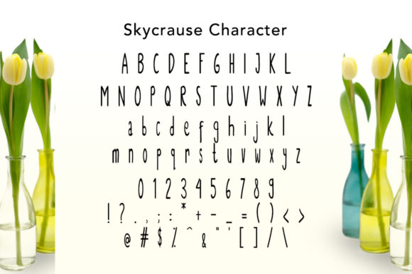 Skycrause Font Poster 5