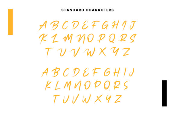 Slince Font Poster 8