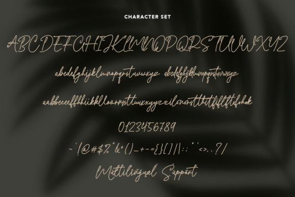 Slowly Moment Font Poster 11