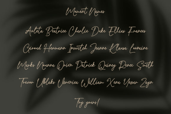 Slowly Moment Font Poster 9