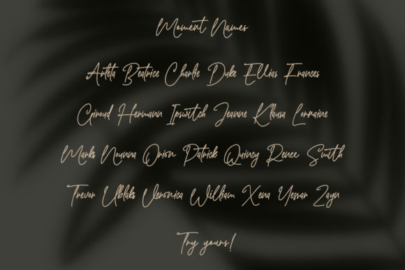 Slowly Moment Font Poster 10