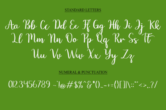 Smart Cat Font Poster 5
