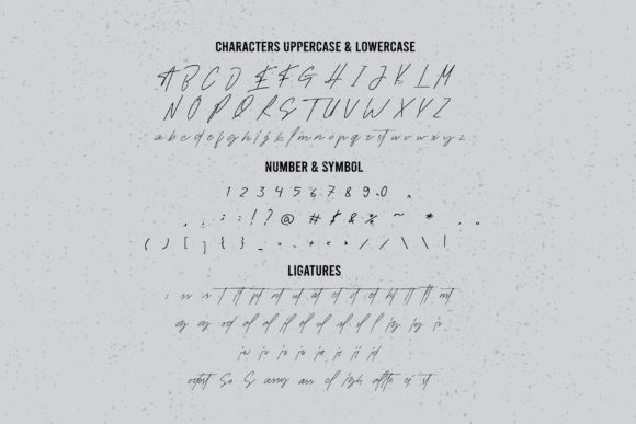 Socialite Font Poster 8
