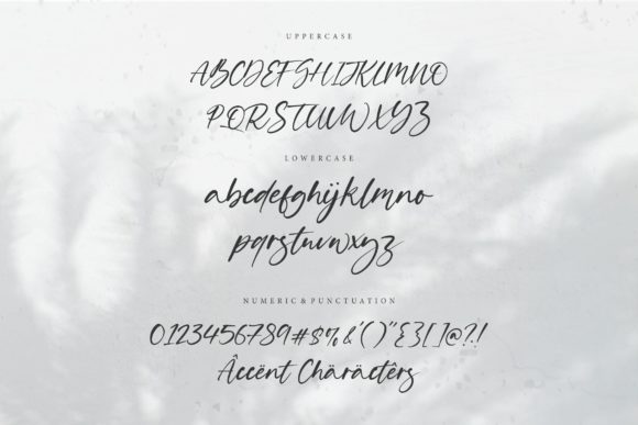 Solitude Font Poster 6