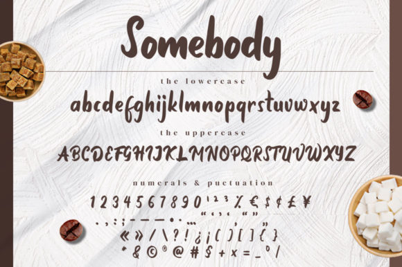 Somebody Font Poster 13