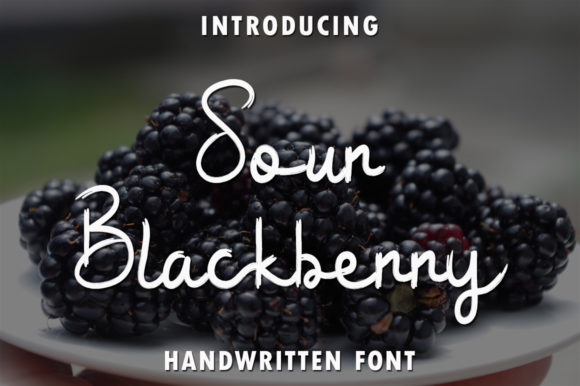 Sour Blackberry Font Poster 1