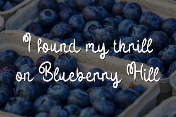 Sour Blueberry Font Poster 2