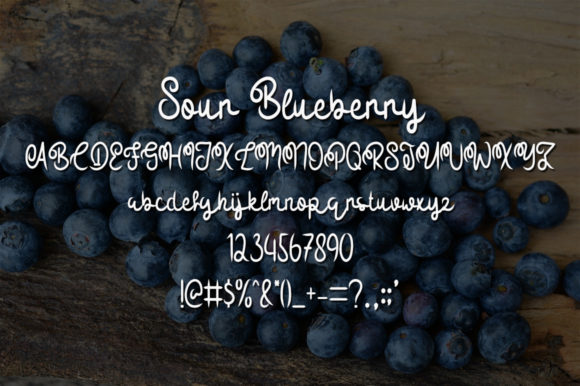 Sour Blueberry Font Poster 5