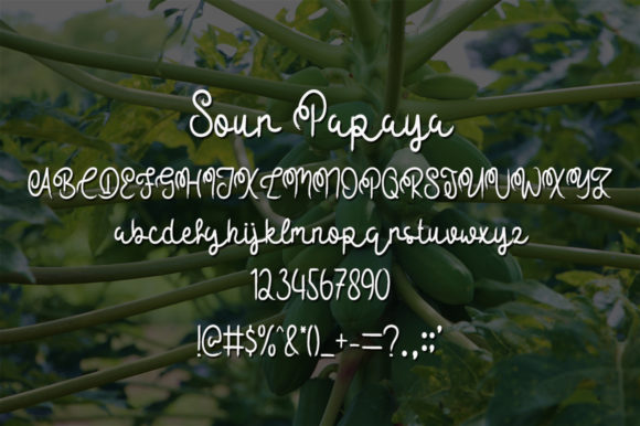 Sour Papaya Font Poster 5