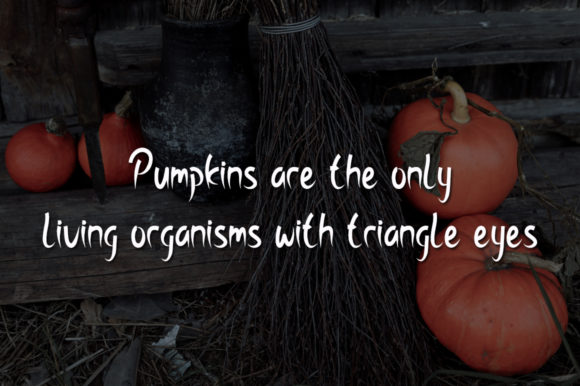 Sour Pumpkin Font Poster 4