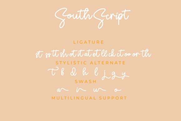 South Font Poster 8