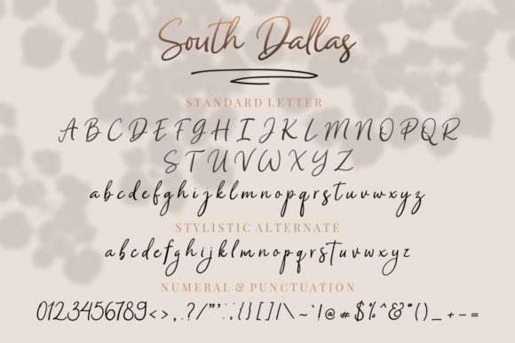 South Dallas Font Poster 11