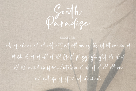 South Paradise Font Poster 11