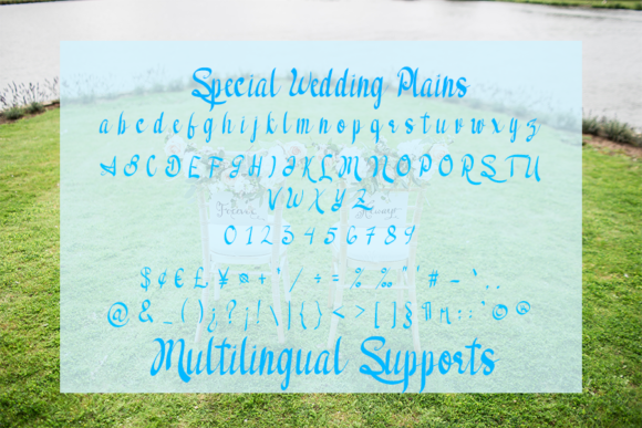 Special Wedding Font Poster 3