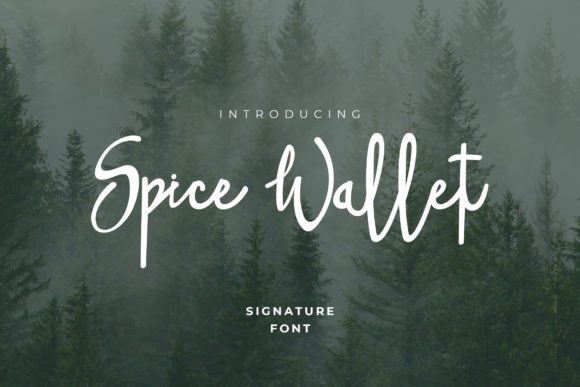Spice Wallet Font Poster 1