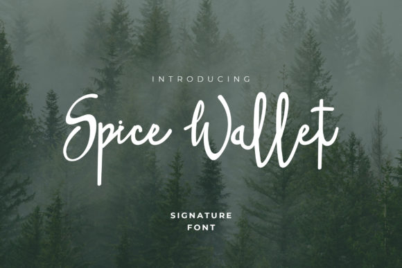 Spice Wallet Font