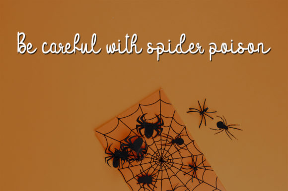 Spider House Font Poster 2