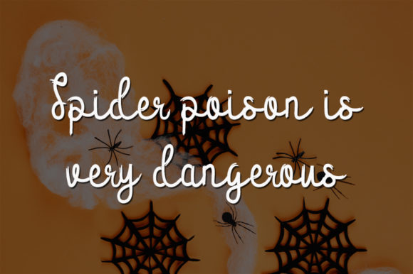 Spider House Font Poster 4