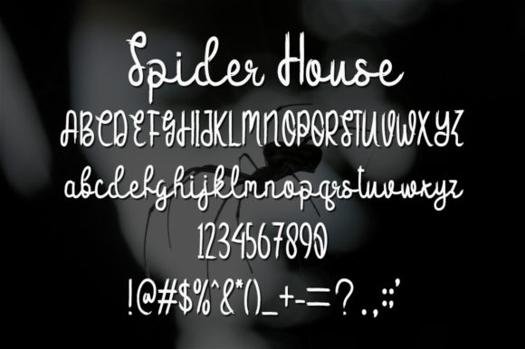 Spider House Font Poster 5