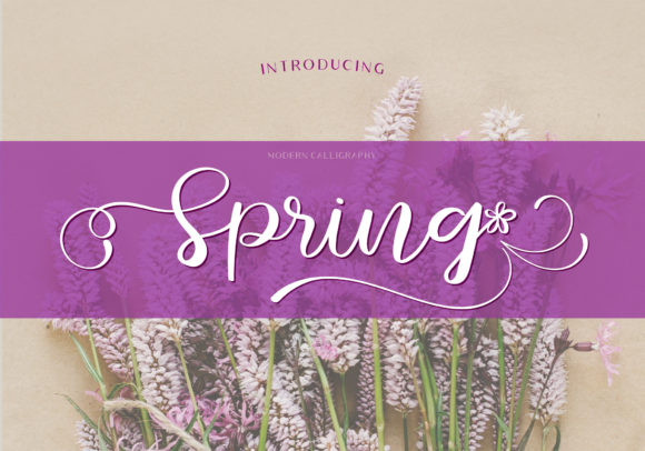 Spring Font Poster 1