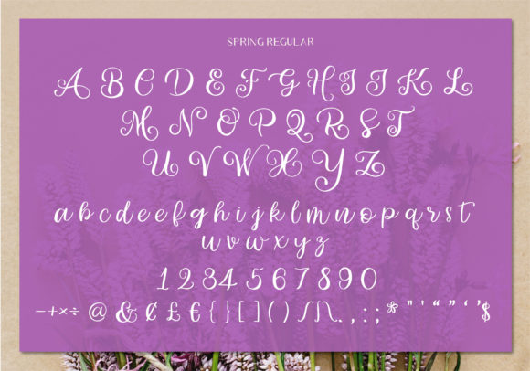 Spring Font Poster 3