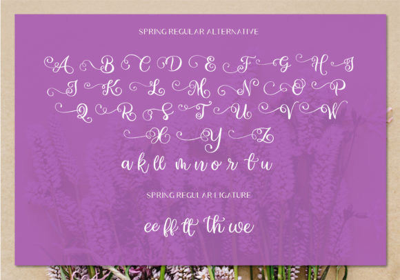 Spring Font Poster 4