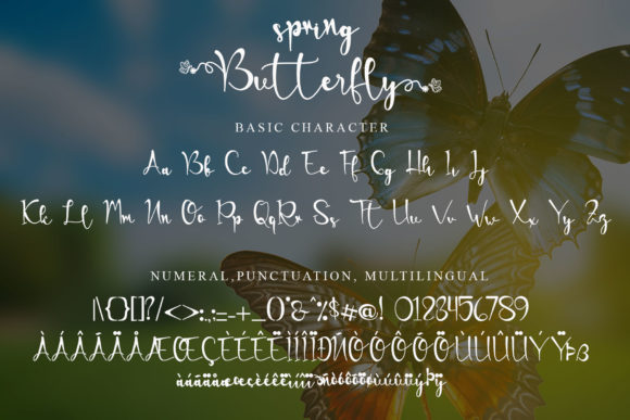 Spring Butterfly Font Poster 7