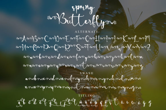 Spring Butterfly Font Poster 8