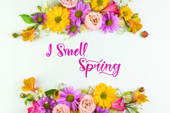 Spring Heart Font Poster 3