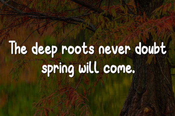 Spring Morning Font Poster 4