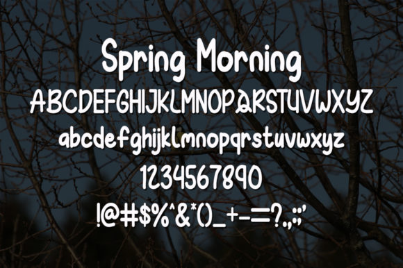 Spring Morning Font Poster 5