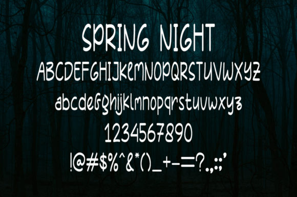 Spring Night Font Poster 5