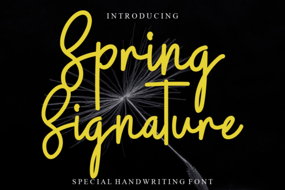 Spring Signature Font Poster 1