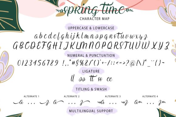 Spring Time Font Poster 5